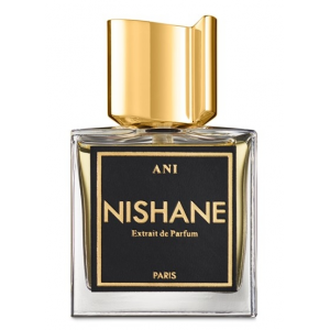 Nishane Ani luxury perfume bottle with golden geometric design